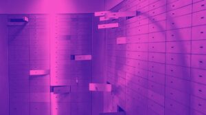 Why Storage and Insurance Matter for Collectibles